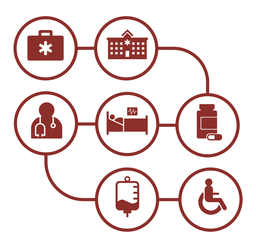 Graphic showing the connected ecosystem of healthcare services peregrine3 advises on, with each service represented as an icon connected to the next in a line.